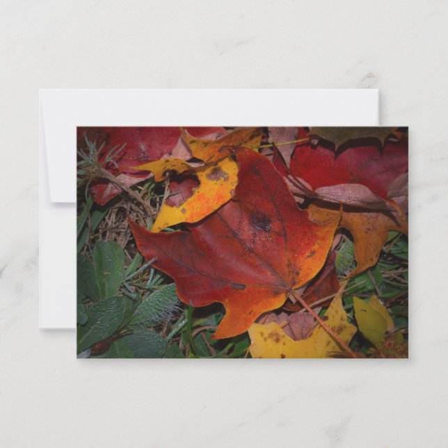 Vibrant Fall Leaves Note Card (Front)