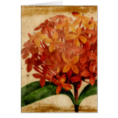 Vibrant Floral III (Front)