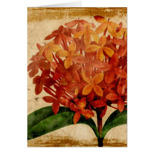 Vibrant Floral III Cards (Front)