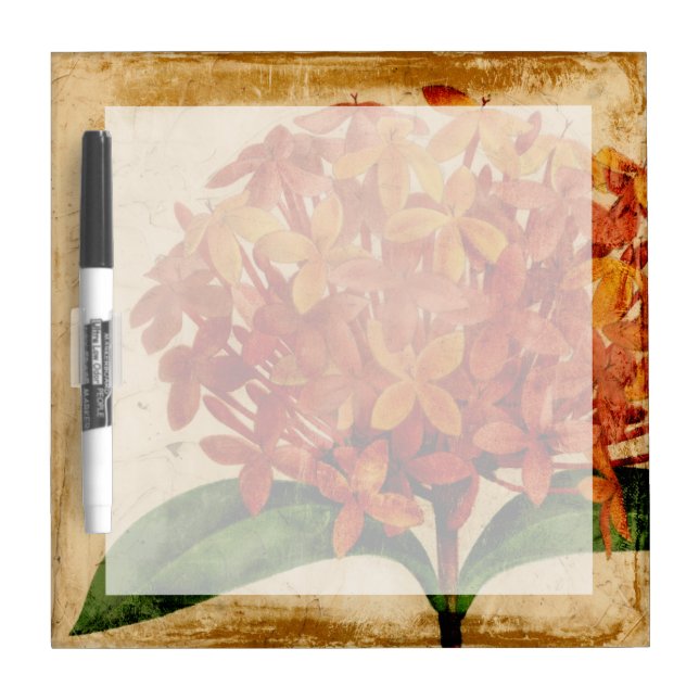 Vibrant Floral III Dry-Erase Board (Front)