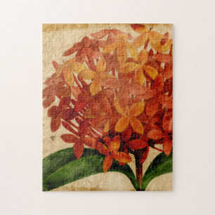 Vibrant Floral III Jigsaw Puzzle