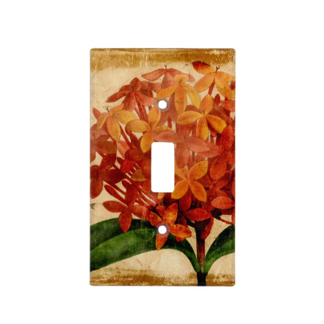 Vibrant Floral III Light Switch Cover (Front)