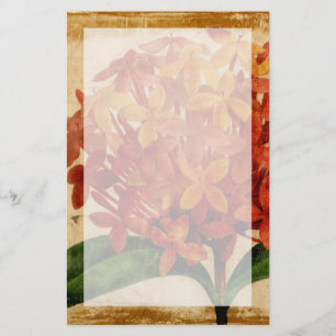 Vibrant Floral III Stationery