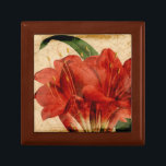 Vibrant Floral VIII Jewelry Box<br><div class="desc">Floral</div>
