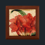 Vibrant Floral VIII Jewelry Box<br><div class="desc">Floral</div>