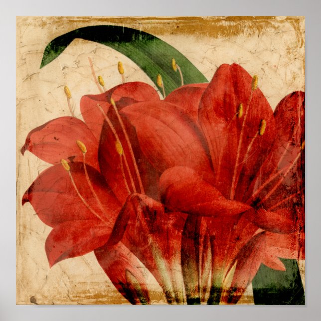 Vibrant Floral VIII Poster (Front)