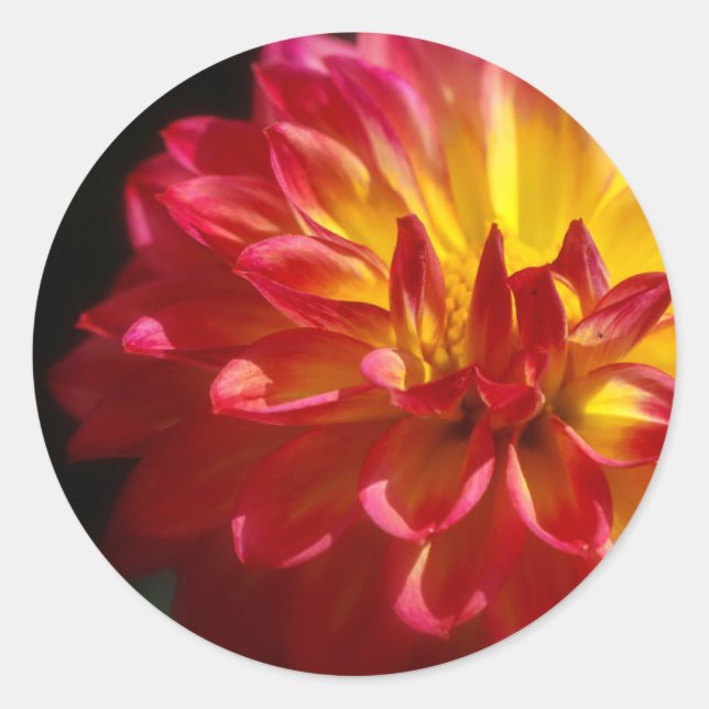 Vibrant Flower Sticker (Front)