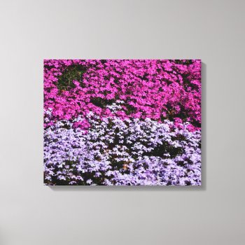 Vibrant Flowers Canvas Print by paul68 at Zazzle