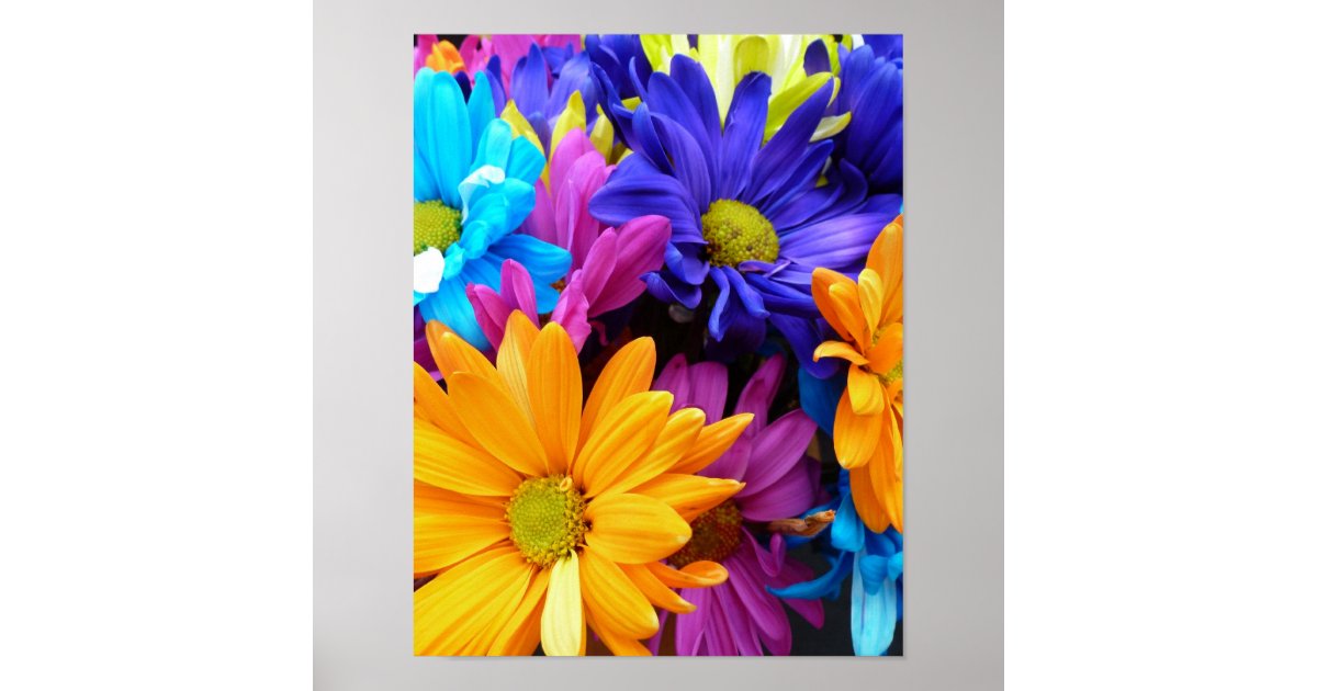 Vibrant Gerbera Daisy Bouquet Poster | Zazzle