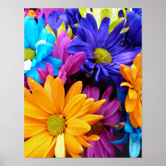 Vibrant Gerbera Daisy Bouquet Poster (Front)