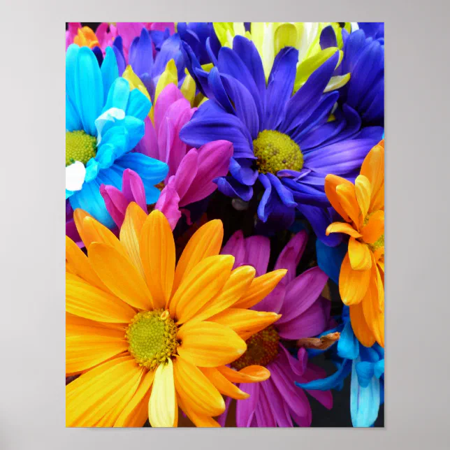 Vibrant Gerbera Daisy Bouquet Poster | Zazzle
