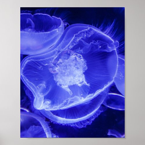 Vibrant Glowing Nautical Blue Jellyfish Poster