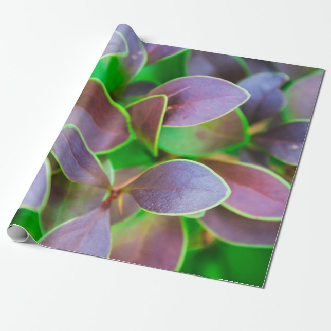 Vibrant green and purple leaves wrapping paper (Unrolled)