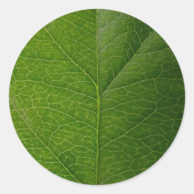 Vibrant Green Leaf Round Sticker - Nature's Beauty (Front)