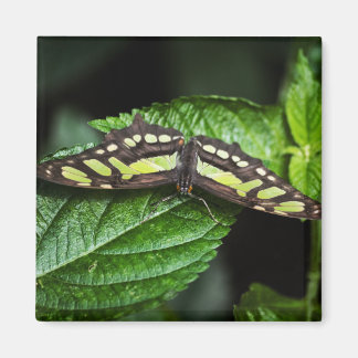 Vibrant Green Magnet