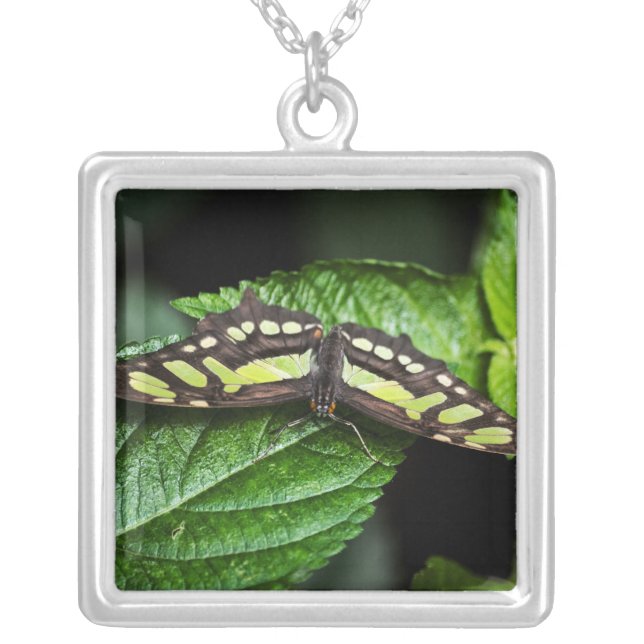Vibrant Green Necklace (Front)