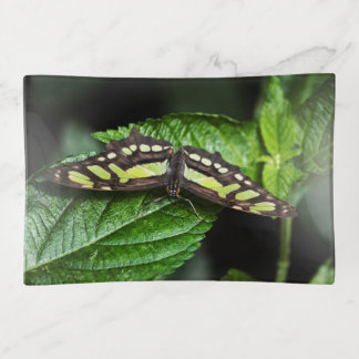 Vibrant Green Trinket Tray