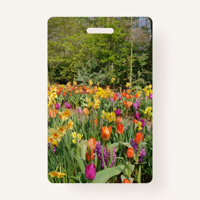Vibrant Holland Tulip Garden Badge (Front)