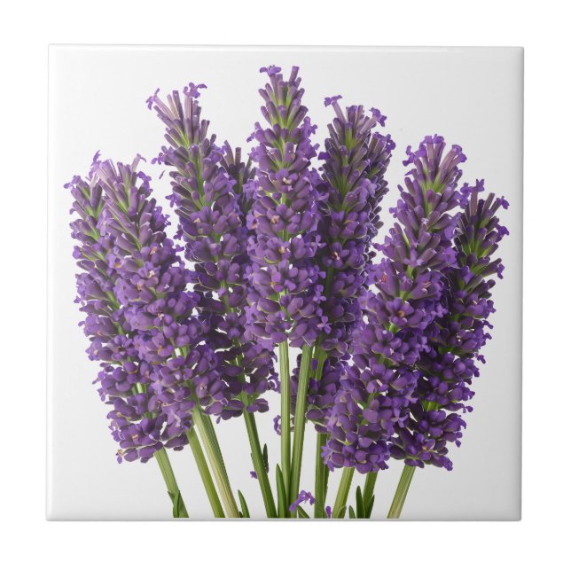 Vibrant Lavender Botanical Art Design Ceramic Tile (Front)