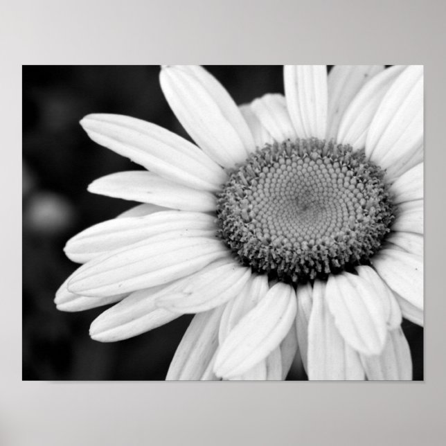 vibrant macro black and white photography floral poster (Front)