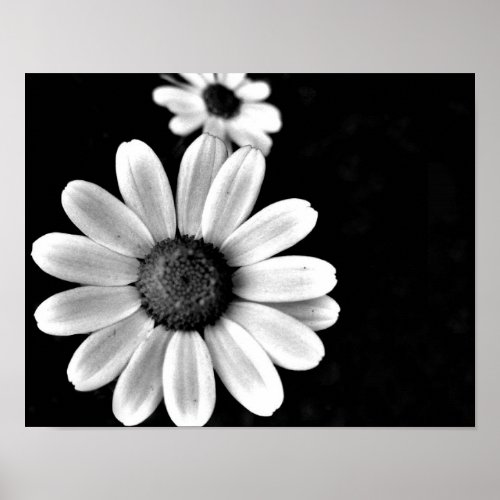 vibrant macro black and white photography floral poster