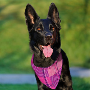 Vibrant Magenta Pink Plaid Aesthetic Pet Bandana Collar
