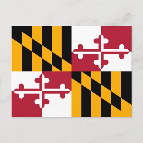 Vibrant Maryland State Flag Postcard