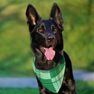 Vibrant Mint Yellow Plaid Aesthetic Pet Bandana Collar