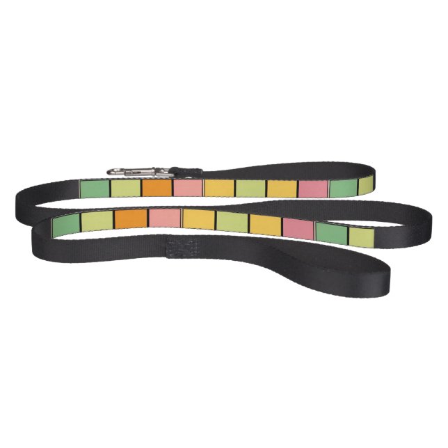 Vibrant Multi-Colored Geometric Squares Pet Leash (Full)