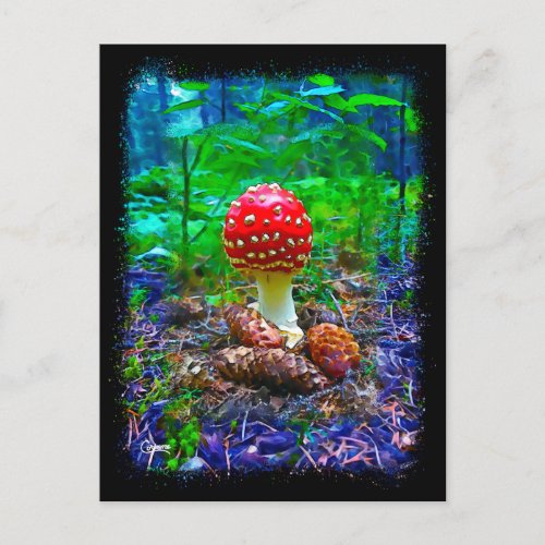 Vibrant Mushroom _ Postcard