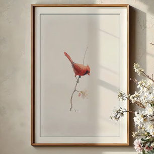 Vibrant Northern Cardinal Watercolor on Branch Poster