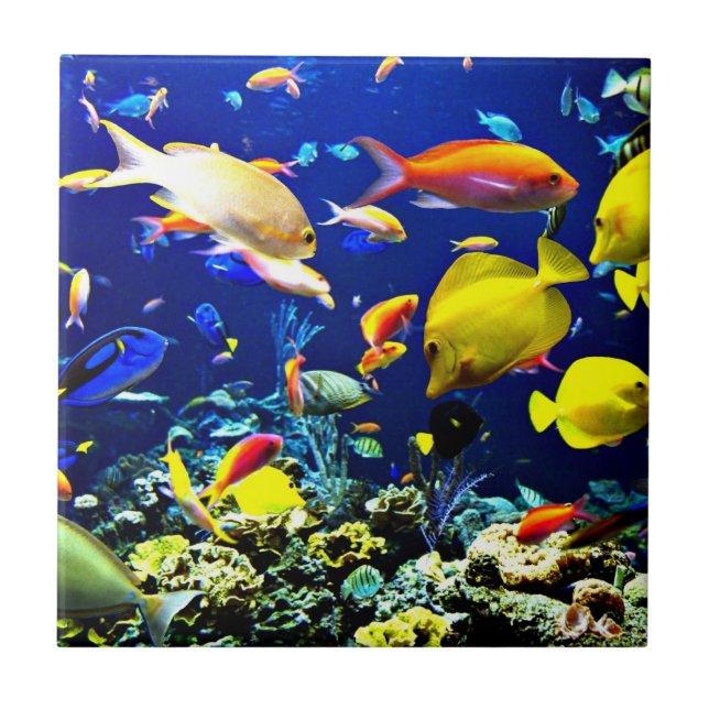Vibrant Ocean Life Tile (Front)