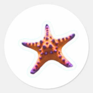 Vibrant Ocean Starfish - Coastal Beach Vibe Sticke Classic Round Sticker
