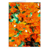 Vibrant Orange Bougainvillea Flowers (Front)