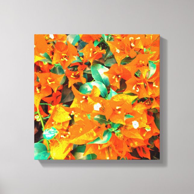 Vibrant Orange Bougainvillea Flowers Canvas Print (Front)