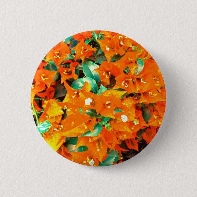 Vibrant Orange Bougainvillea Flowers Pinback Button (Front)