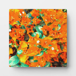 Vibrant Orange Bougainvillea Flowers Plaque