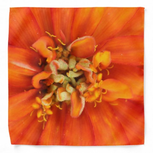 Vibrant Orange Flower Designer Bandana