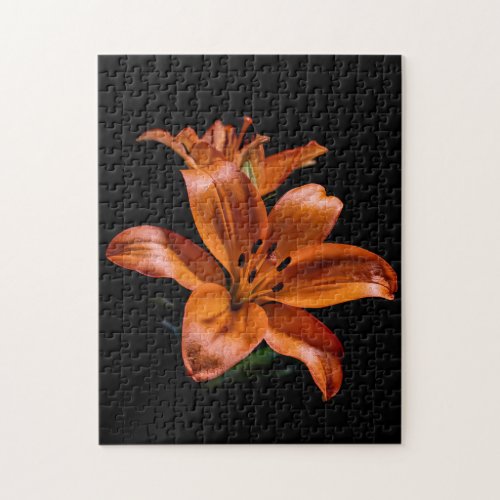 Vibrant Orange Lily Jigsaw Puzzle