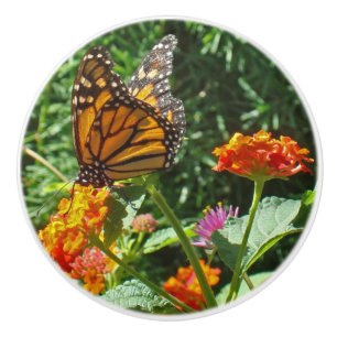 Vibrant Orange Monarch Butterfly Resting on Flower Ceramic Knob
