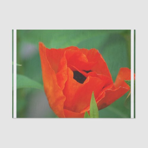 Vibrant Orange Poppy Tissue Paper