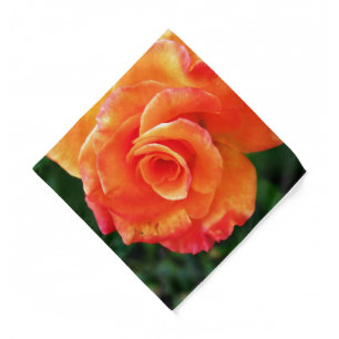 Vibrant Orange Rose Photograph Bandana