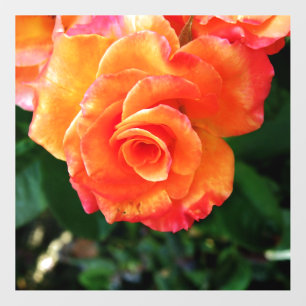 Vibrant Orange Rose Photograph Wall Decal