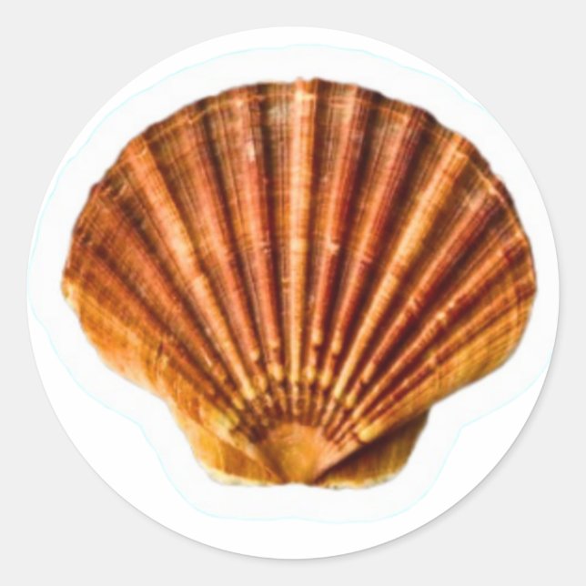 Vibrant Orange Scallop Sea Shell Sticker, Classic  Round Sticker (Front)