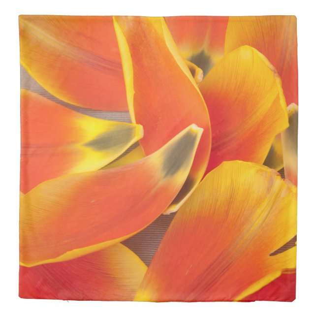 Vibrant Orange Tulip Petals Photograph Duvet Cover (Back)
