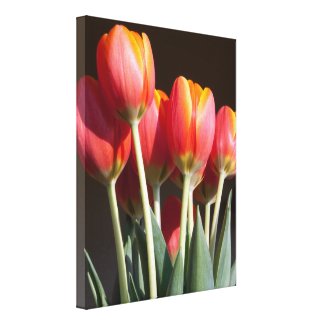Vibrant Orange Tulip Photograph Canvas Print tulips, orange, flowers, gifts, wrapped canvas, wall art,