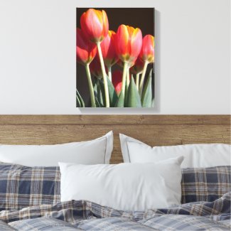 Vibrant Orange Tulip Photograph