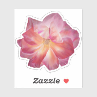 Vibrant Pastel Pink Rose Illustration Custom Sticker