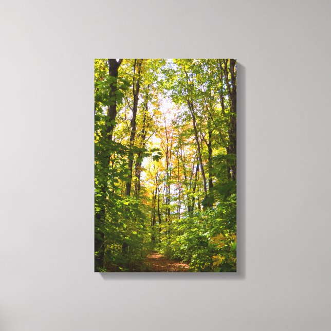 Vibrant Path In The Forest Canvas Print (Front)
