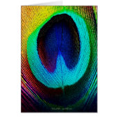 Vibrant Peacock Feather (Front)